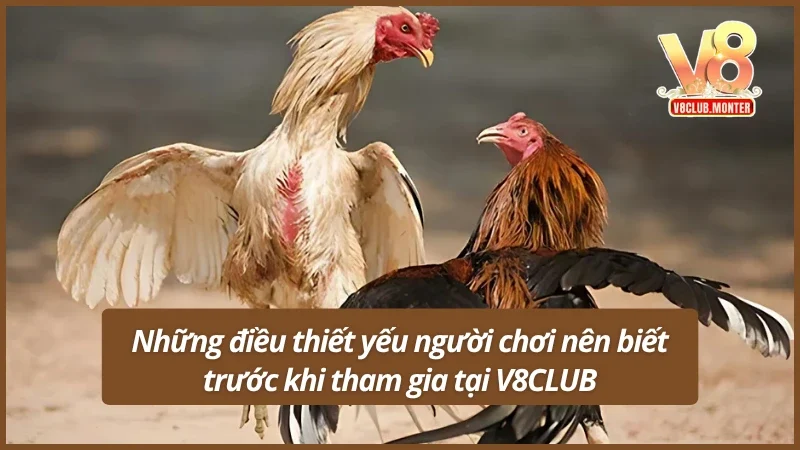 Những điều thiết yếu người chơi nên biết trước khi tham gia