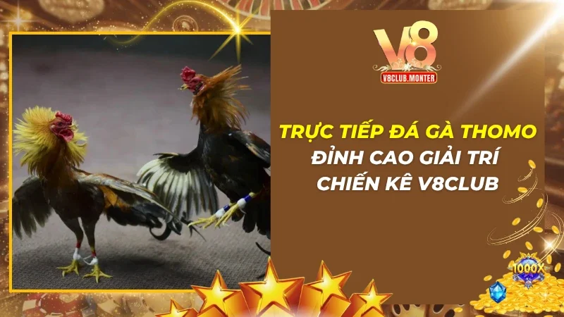 Trực Tiếp Đá Gà Thomo