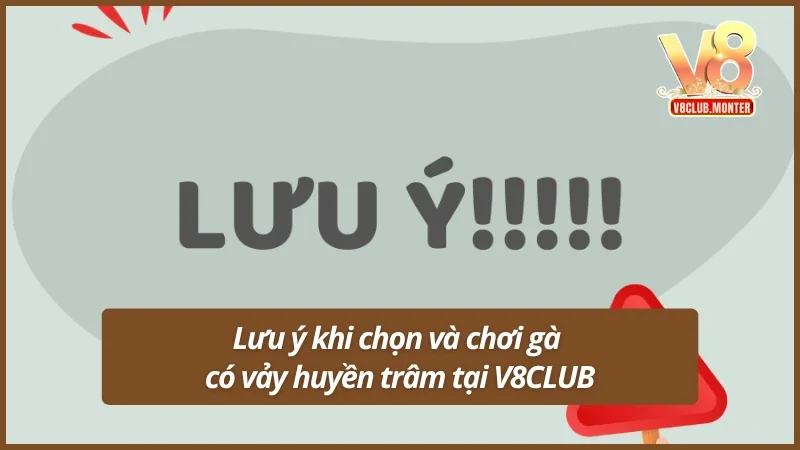 Những lưu ý khi chọn và chơi gà